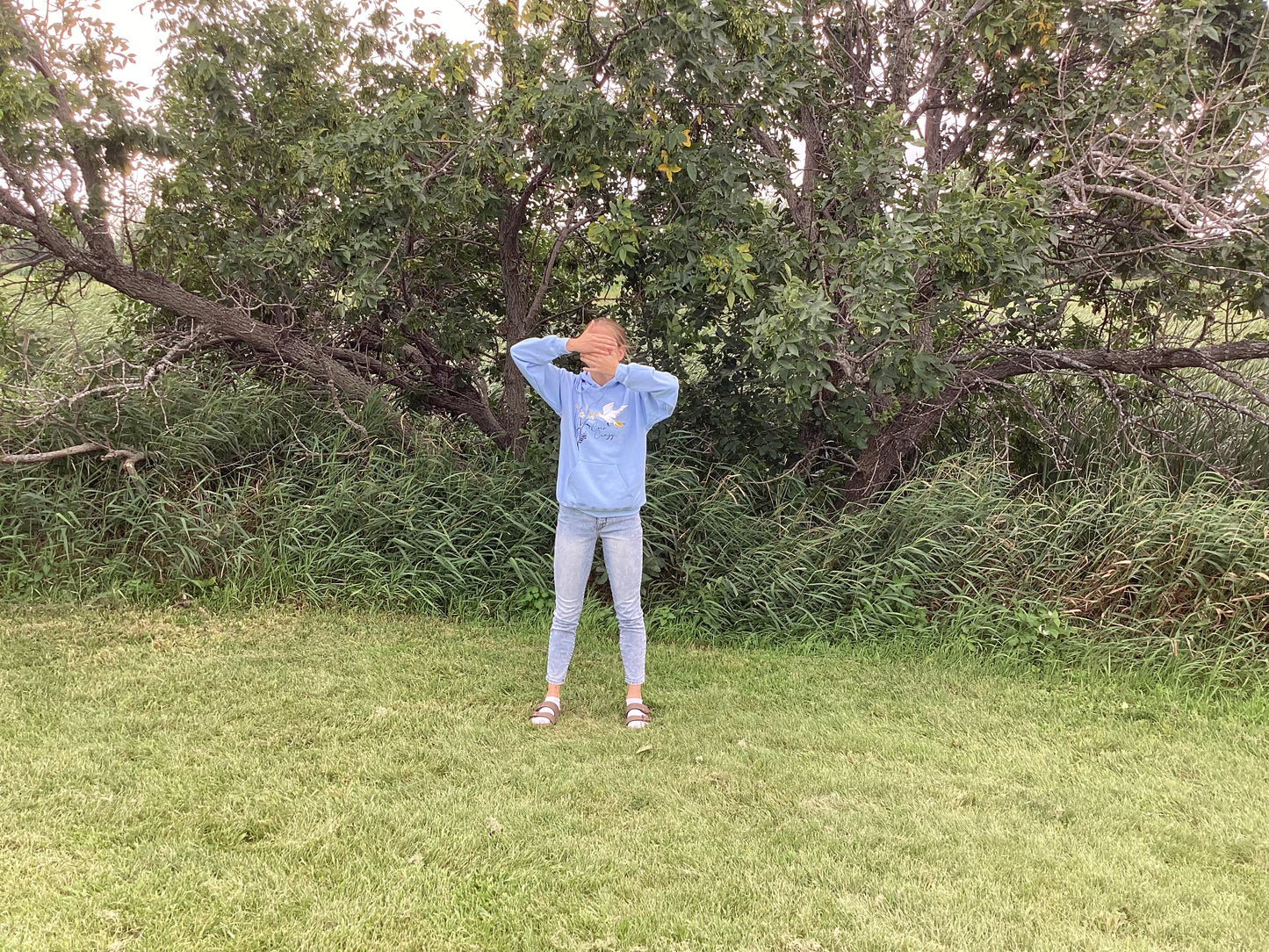 Daisies Light Blue Hooded Sweatshirt